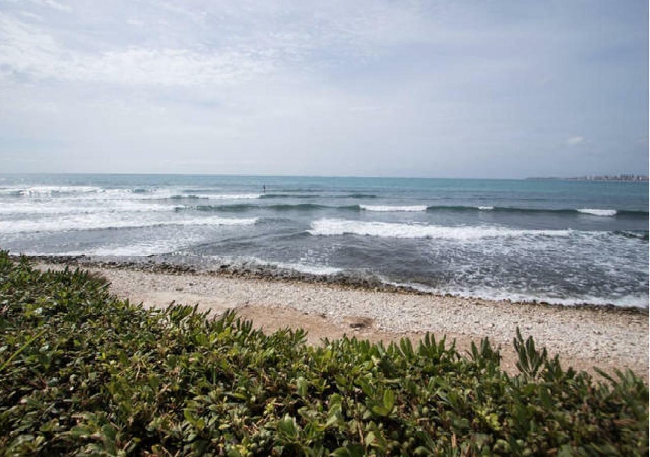 Apartamento Cabo Azul Playa Campello El Campello Dış mekan fotoğraf